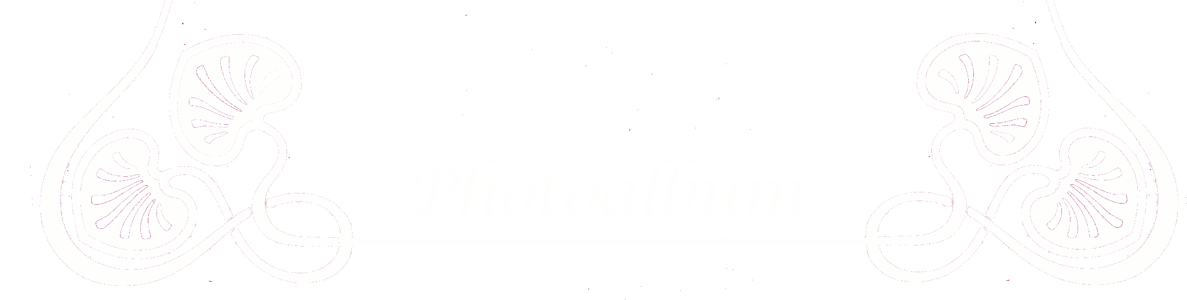 Photoalbum